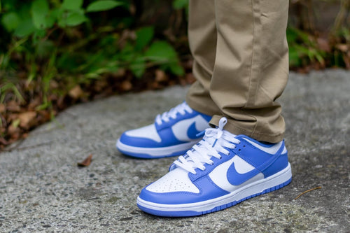 Nike Dunk Low Polar Blue